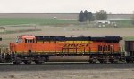 BNSF 8163